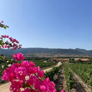  Bauernhof Agriturismo Campesi Casale Tra Le Vigne